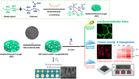 Antibacterial, osteogenic, enhanced: the latest research of silicon nitride medical applications