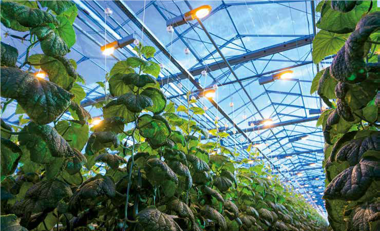 Amazing! Boron Nitride can be used in LED lights