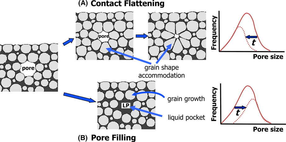 Ceramic Sintering: How Loose Powder Becomes a Dense Body
